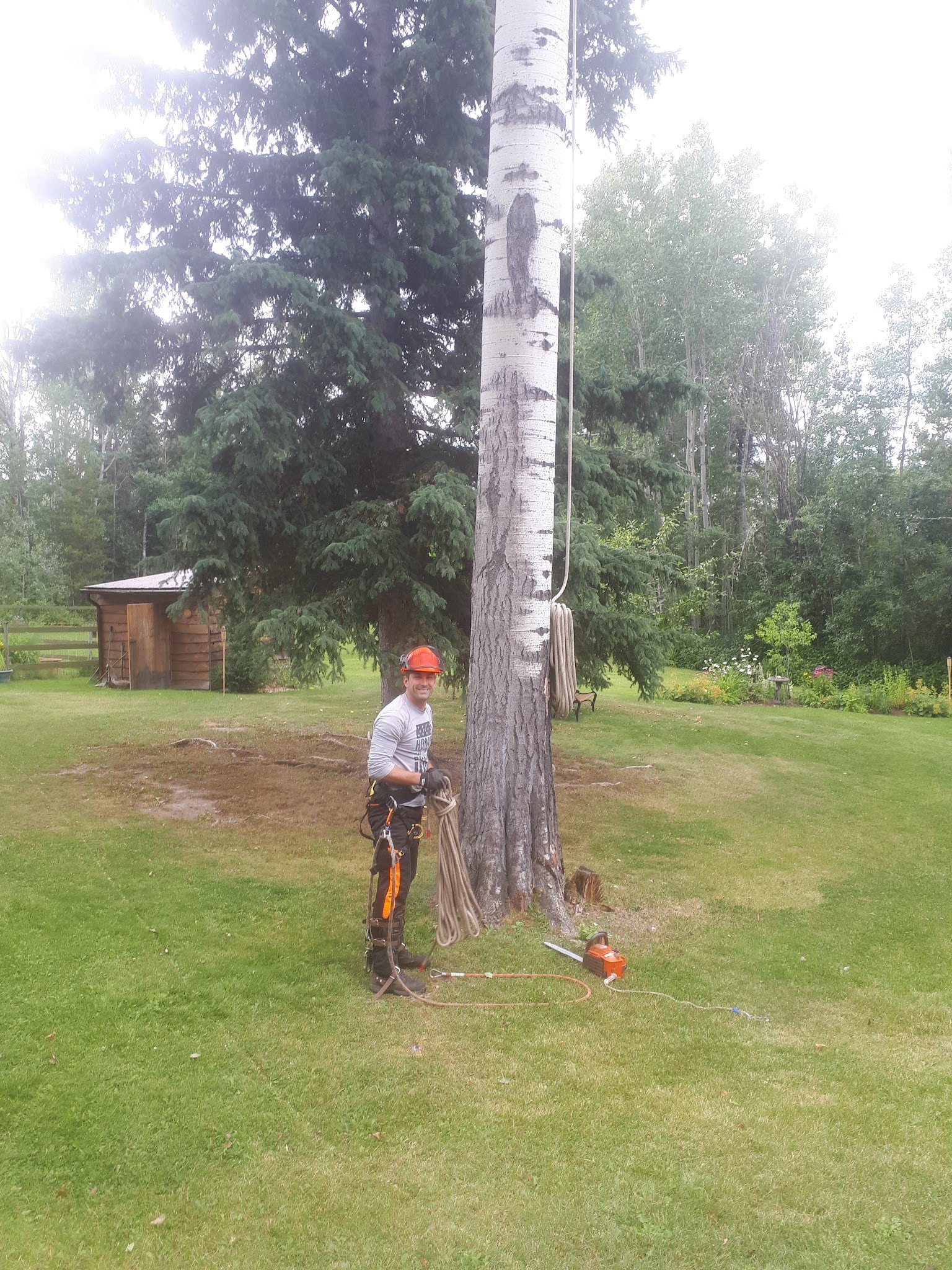 Jon Bitner of Cypress Tree Service