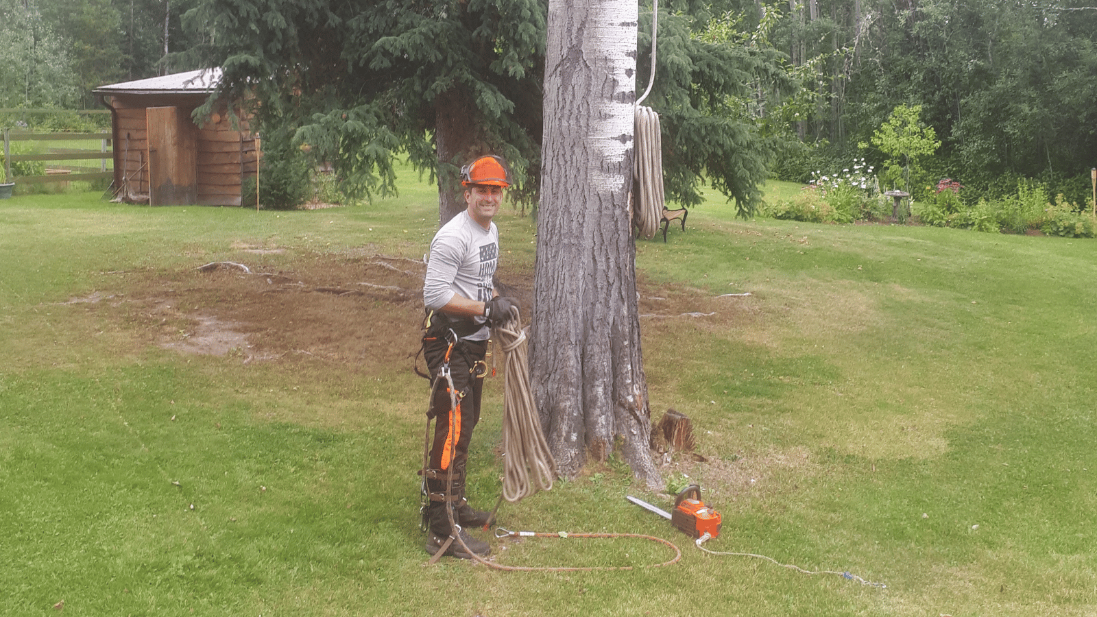 Mature trees in the Cypress service area