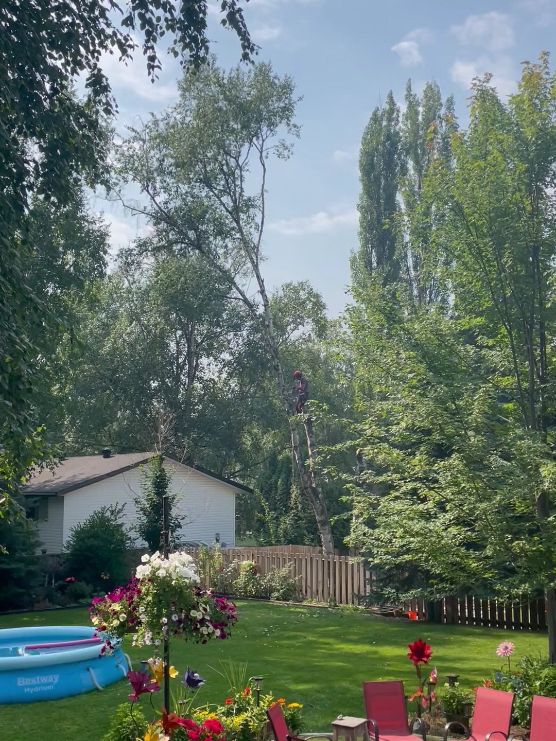 Backyard with mature trees