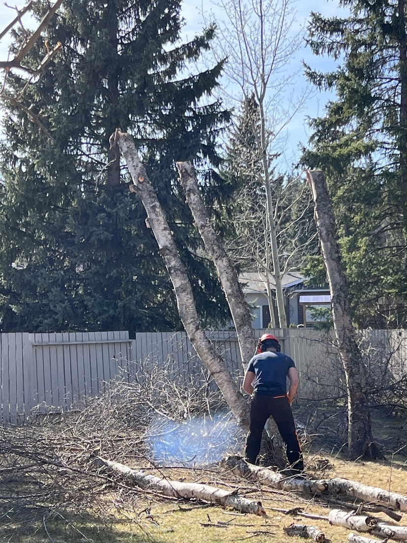 Worker cutting wood on the ground