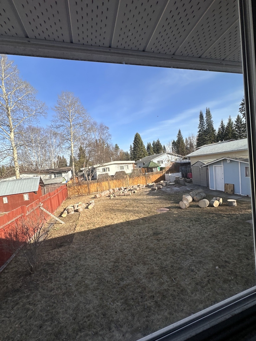 Yard with cut logs