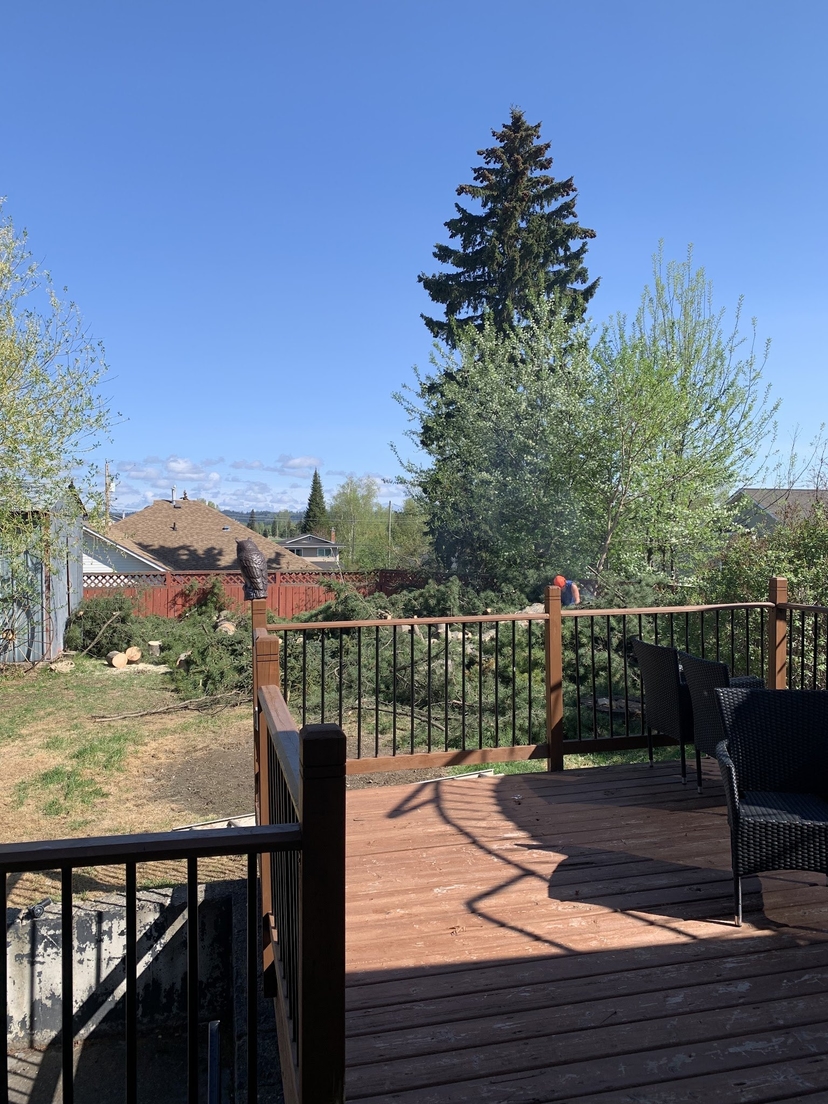 Backyard and deck with mature trees