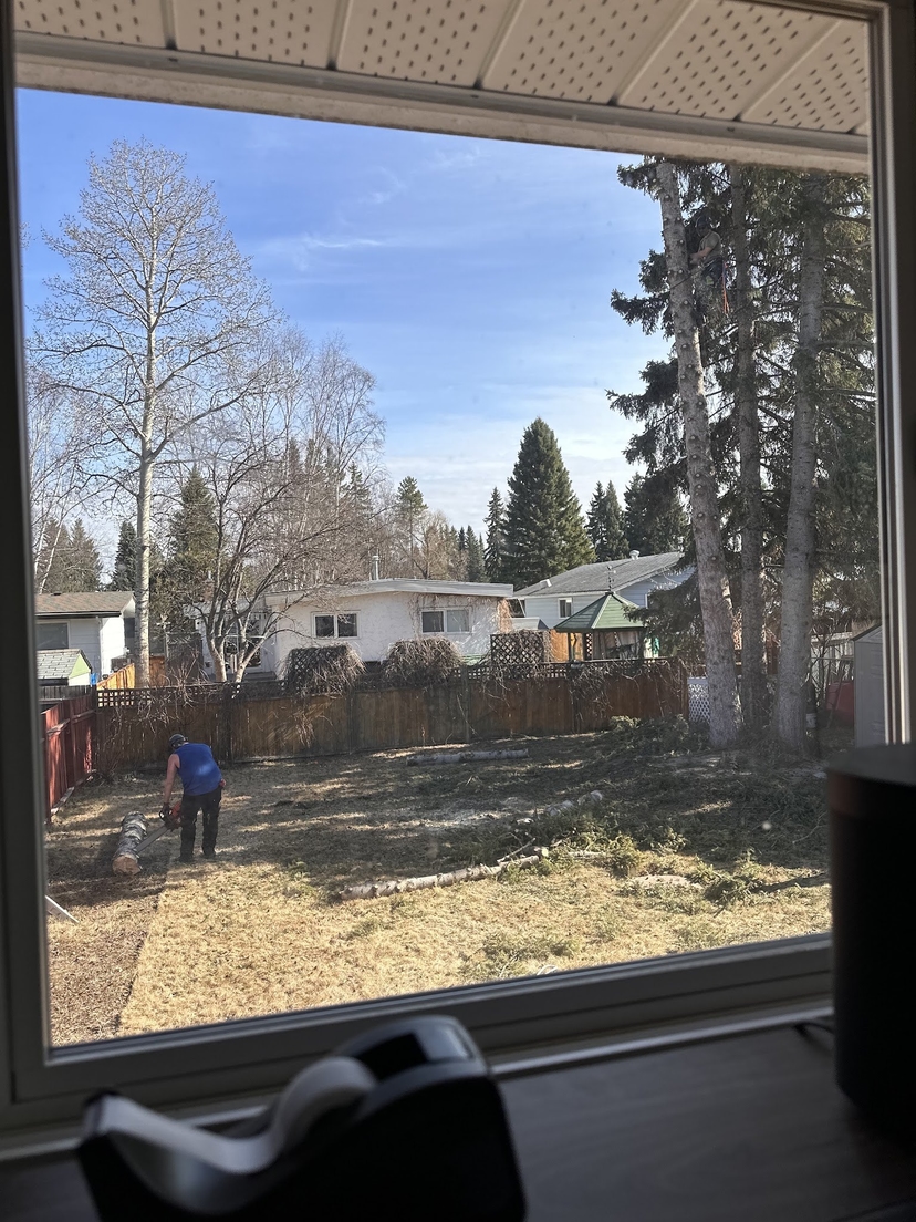 Cut tree section beside a home