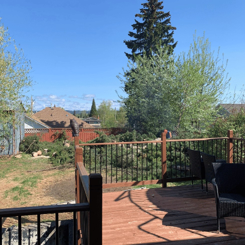 Tree care work in Fort St. James