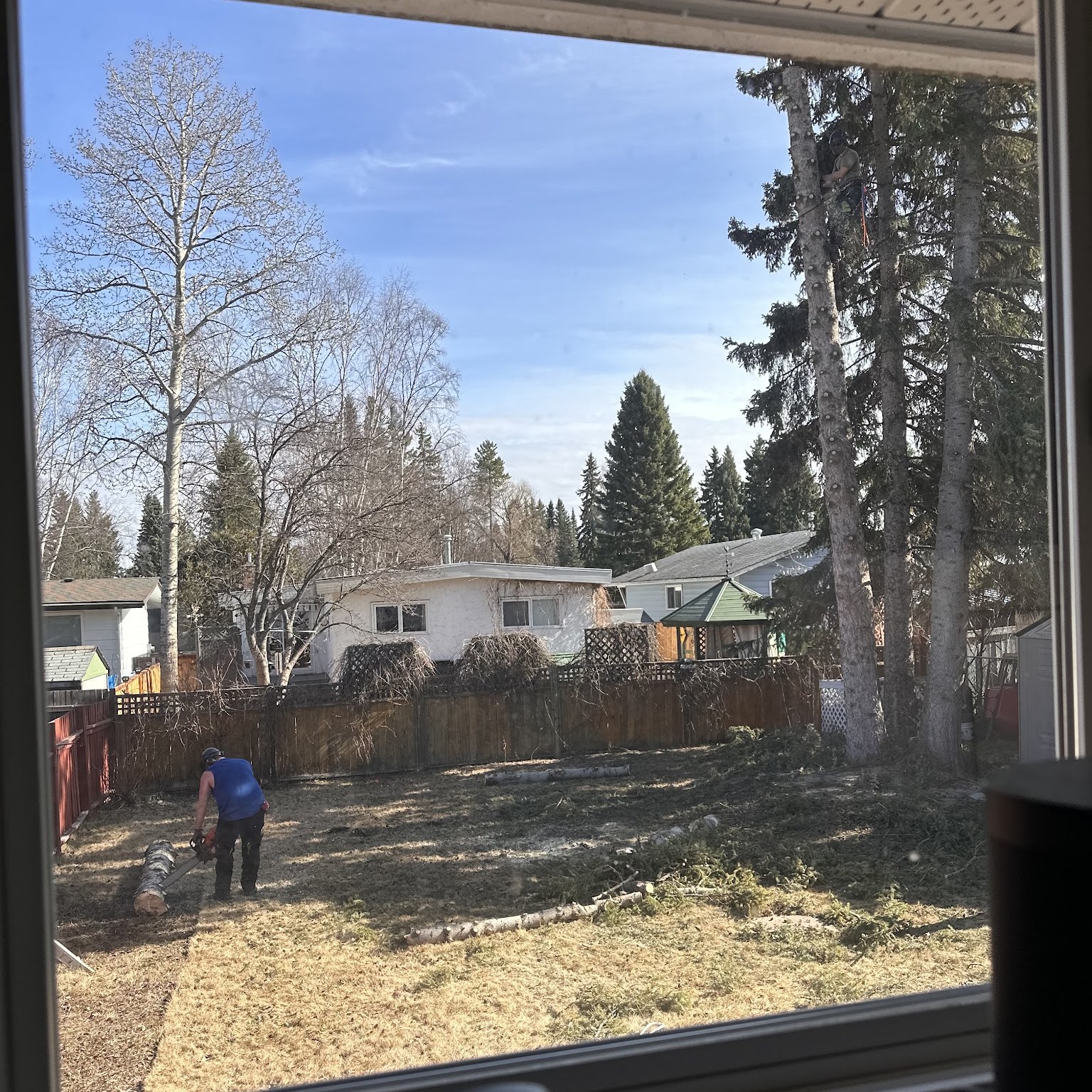 Cleared residential work area