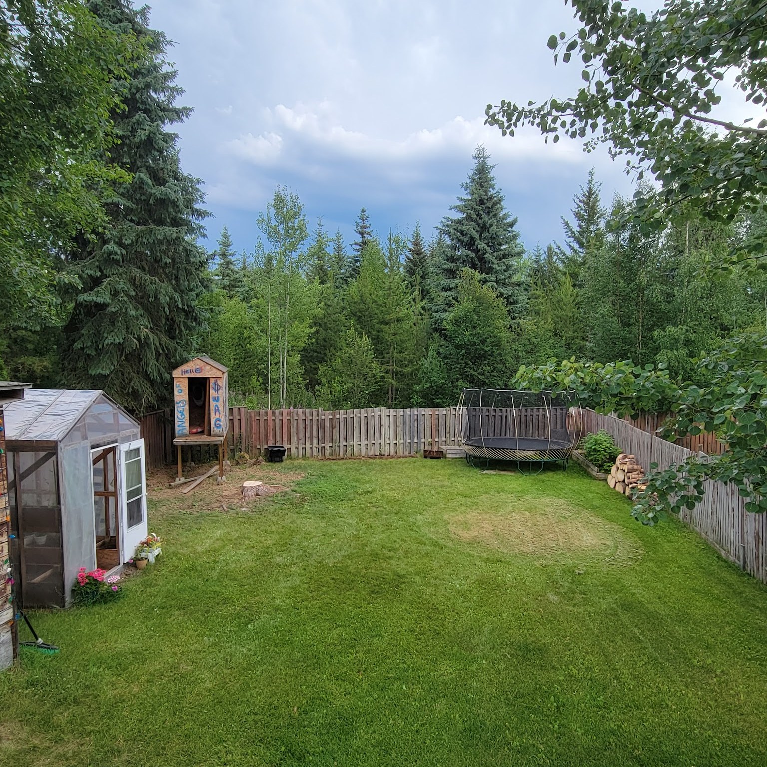 Clean lawn after tree work
