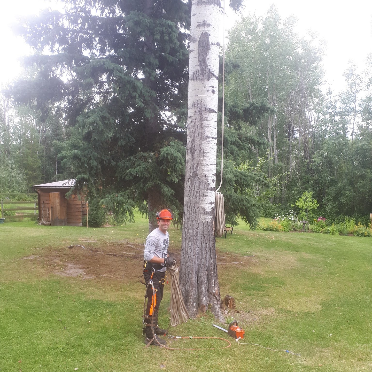 Worker standing beside a tall tree