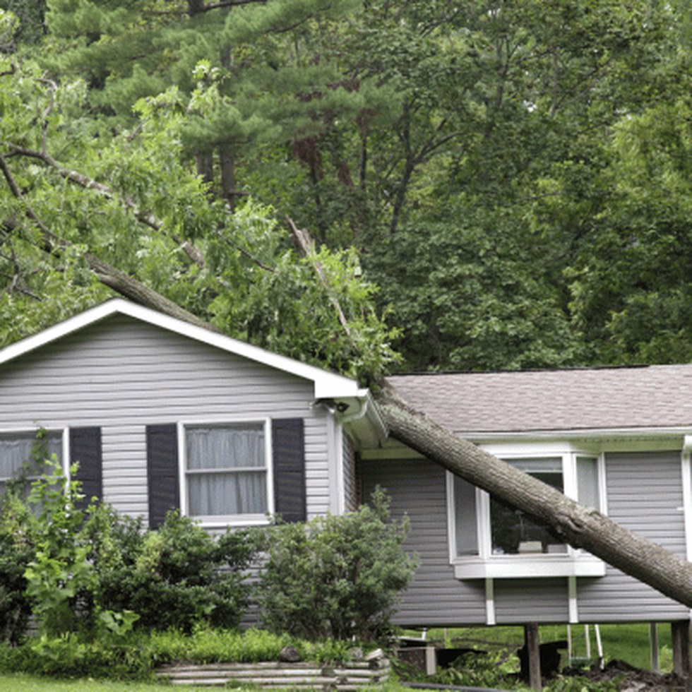Tree work beside a home