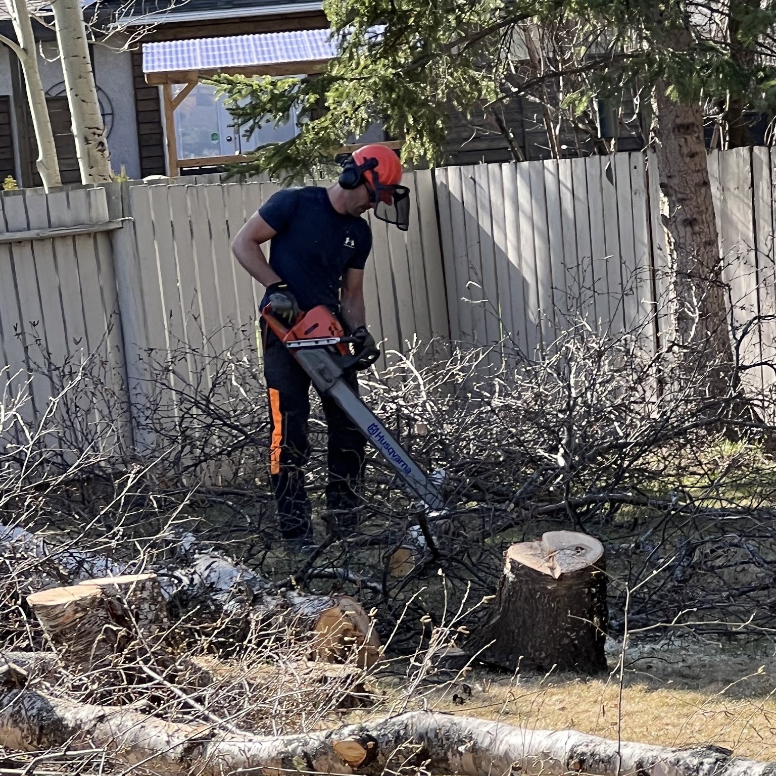Emergency Tree Removal in Prince George, BC