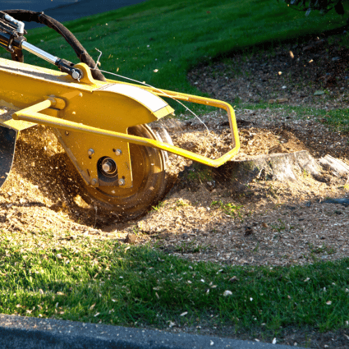 stump grinding services